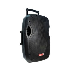 Cabina PB-15LMP3-B PRO DJ recargable 15"