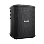 Cabina activa recargable Pro DJ P1 Go Lite 6.5″ con Bluetooth y batería de litio