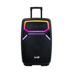 Cabina activa 15" PP14T-B PRO DJ biamplificada DSP USB Bluetooth 135W RMS